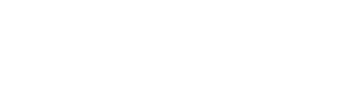 Websupport logo